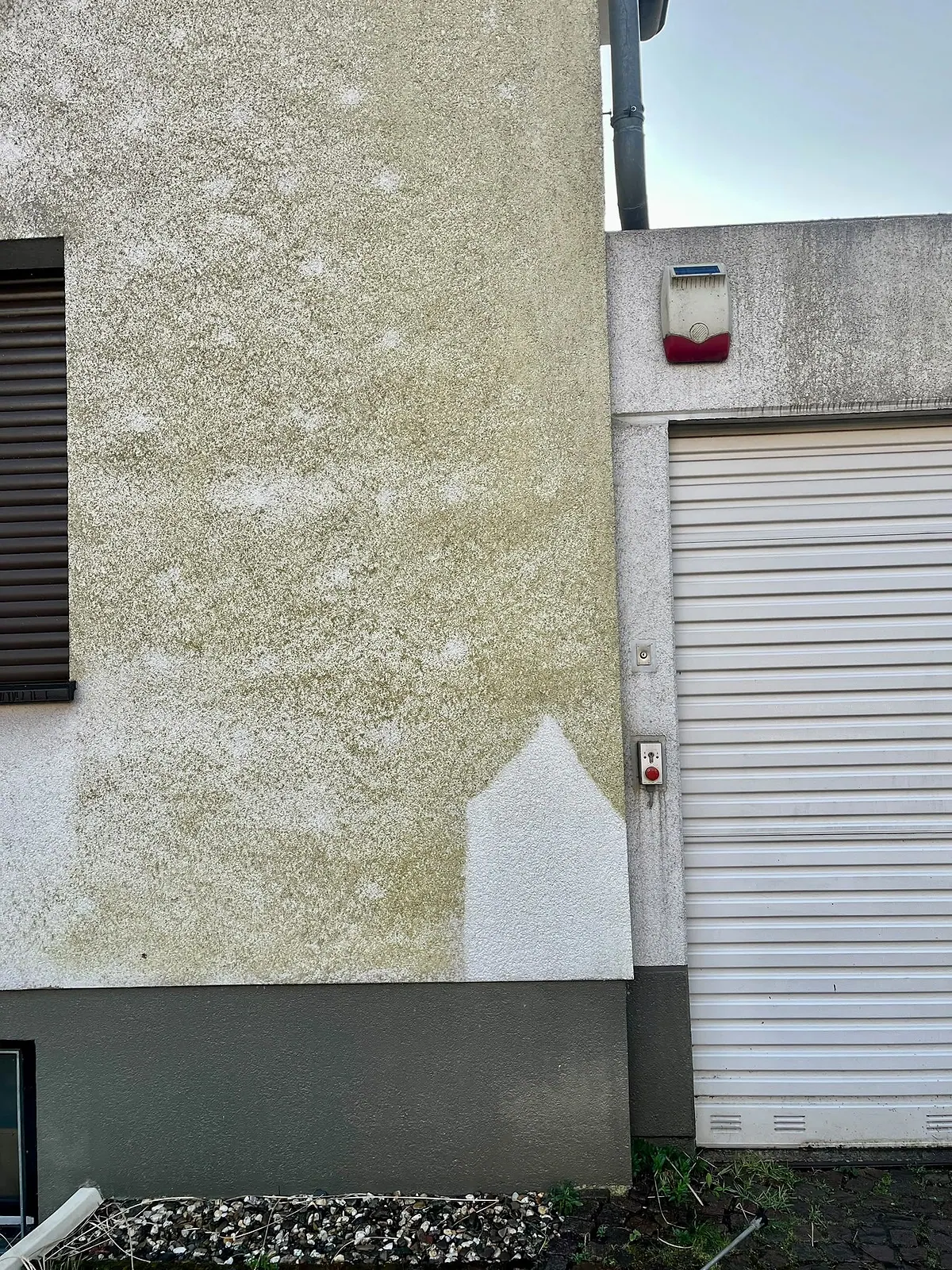 Gereinigte Testfläche auf einer vergrünten Fassade neben einem Garagentor