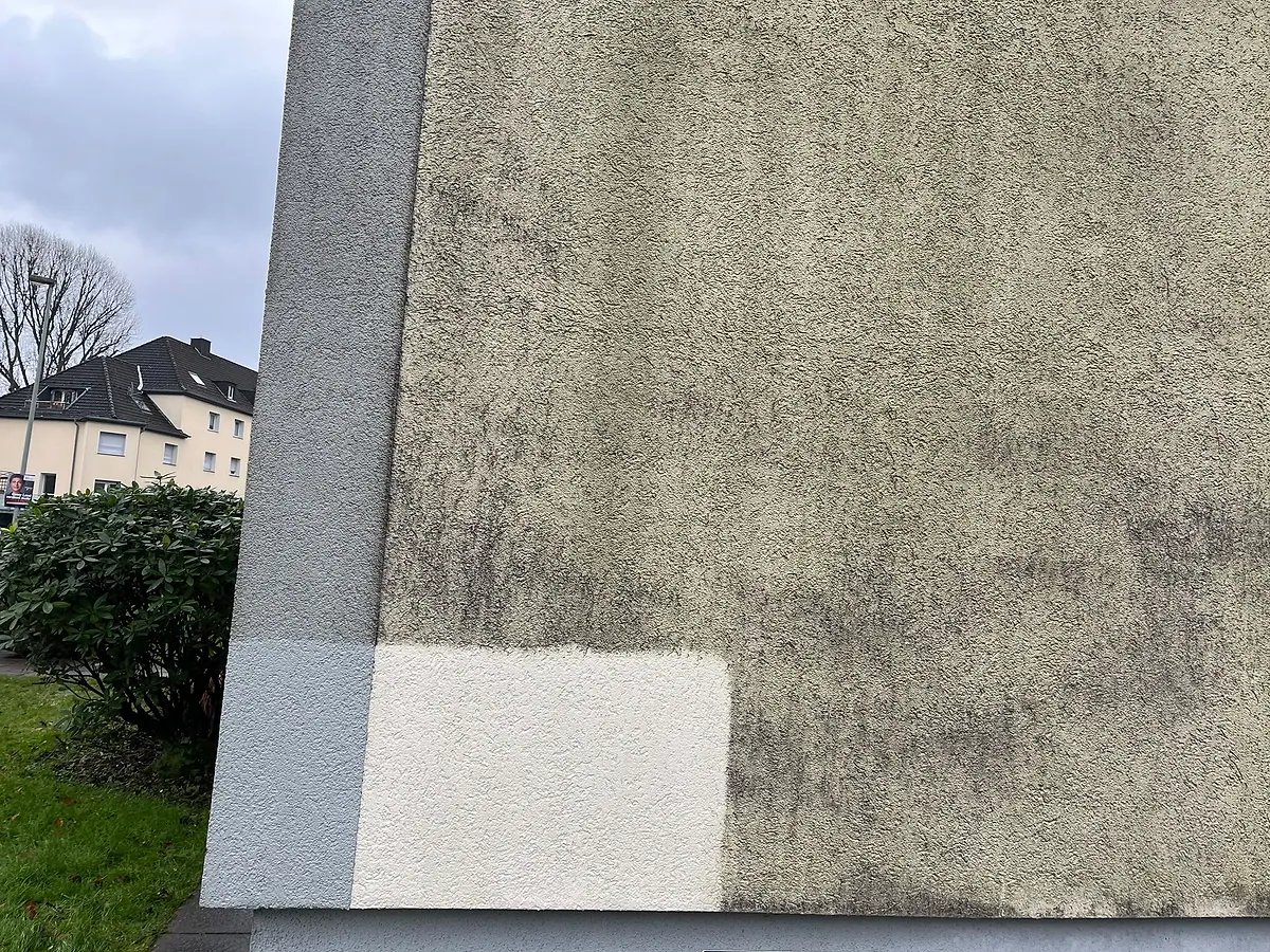 Probefläche an einer Hausecke: unten links gereinigt, daneben dunkler Grünbelag